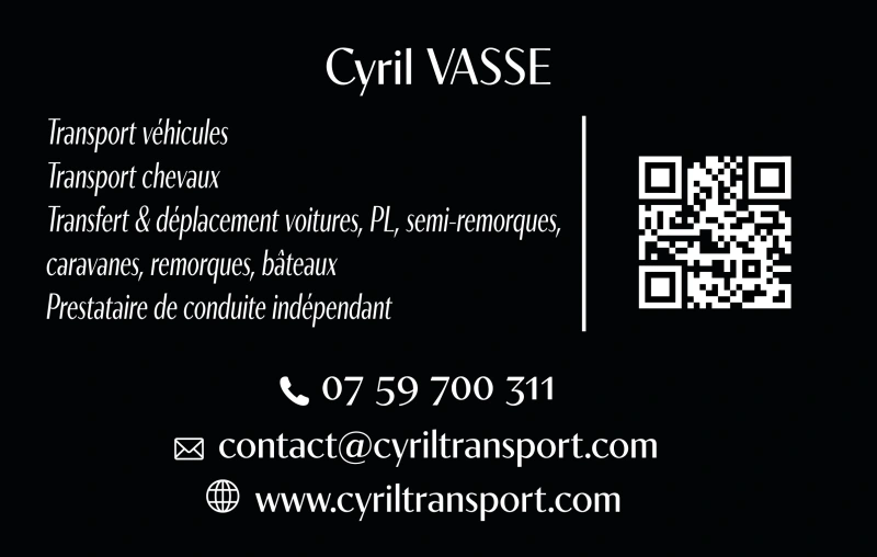 Independent driving service provider