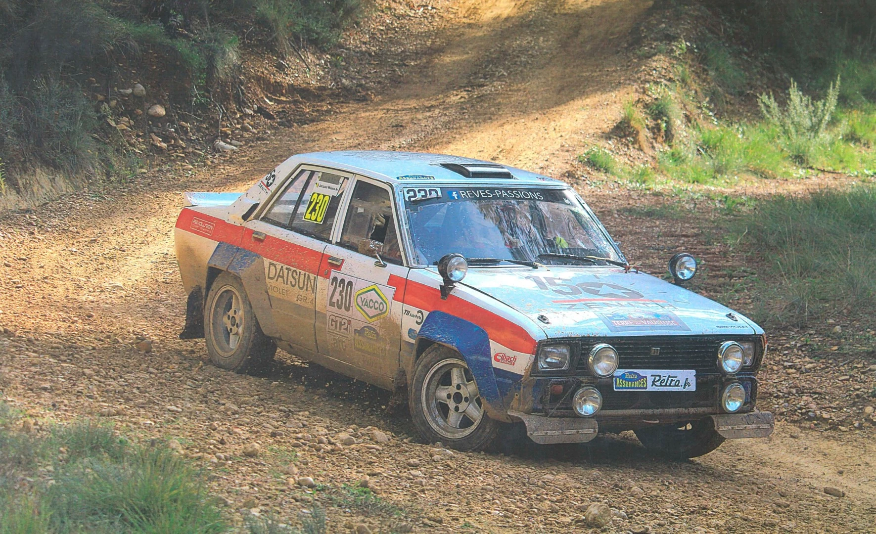1978 Datsun Violet Group 4 Rally car – photo 2