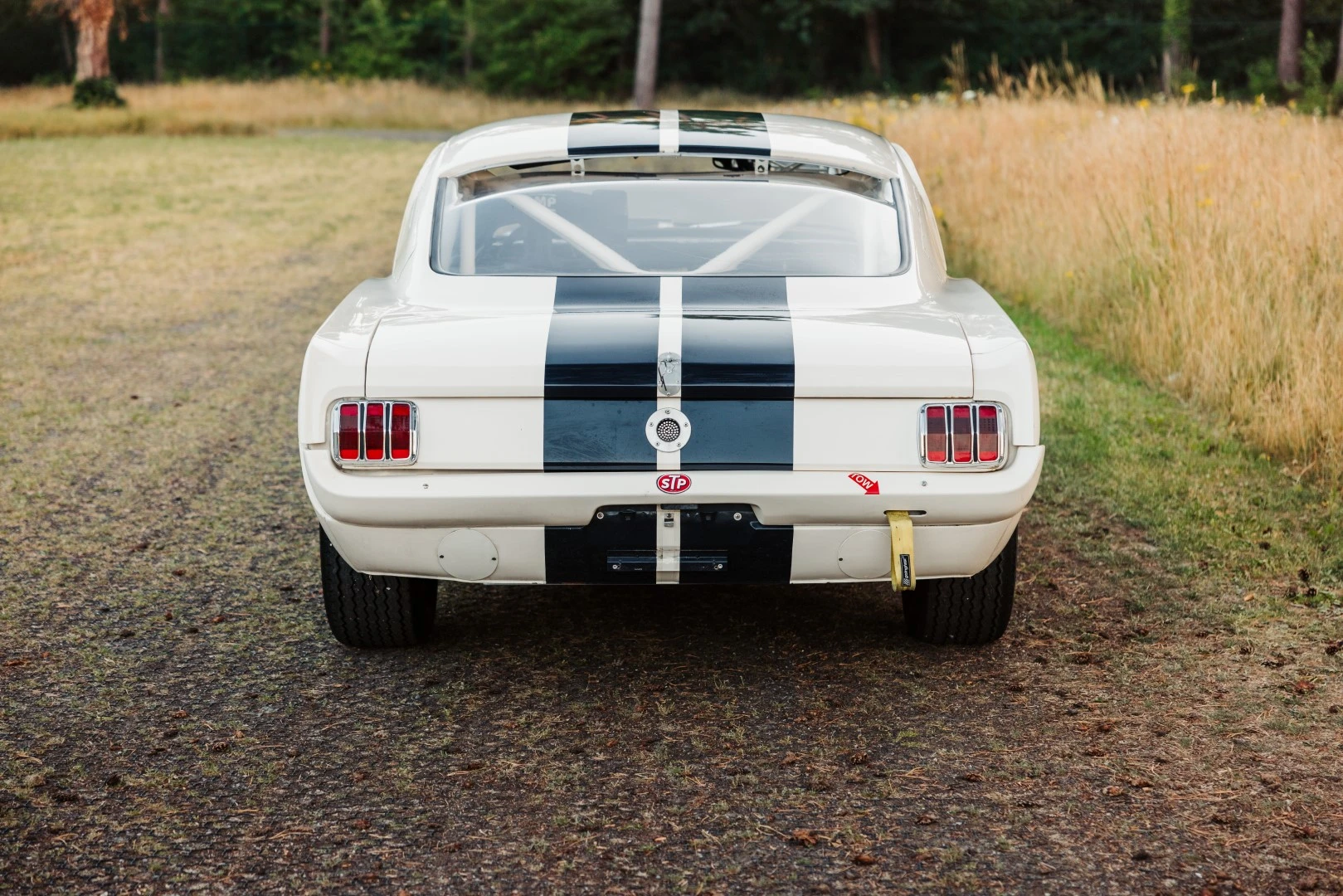 1965 Ford Mustang “Shelby” – photo 3