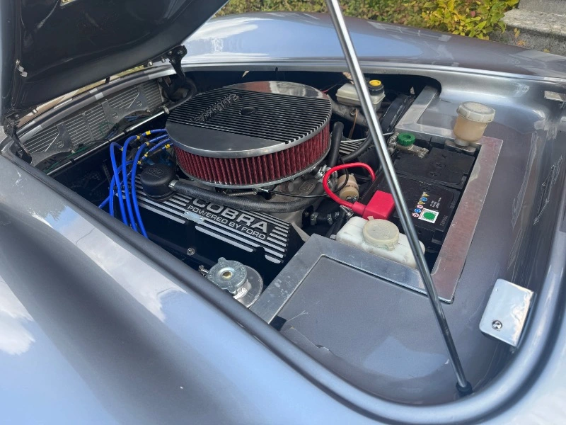 COBRA BY PILGRIM MOTORSPORTS 4.0 RPI V8