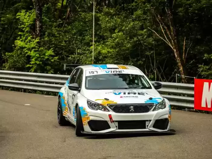 Peugeot 308 Cup