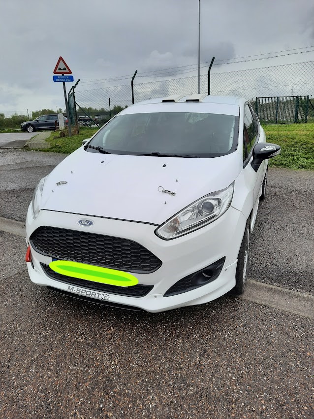 Ford Fiesta R2J