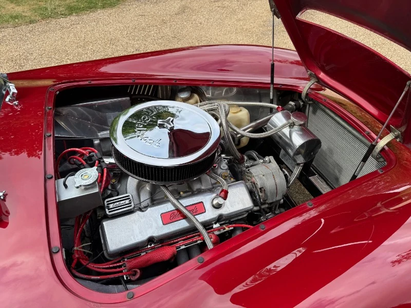 COBRA par DAX