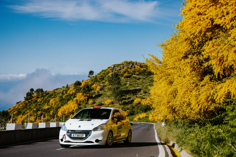 Peugeot 208 R2 Full spec