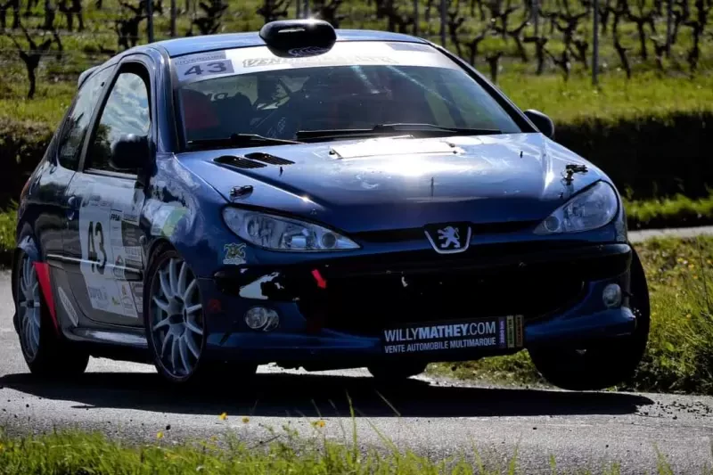 Peugeot 206 Group A