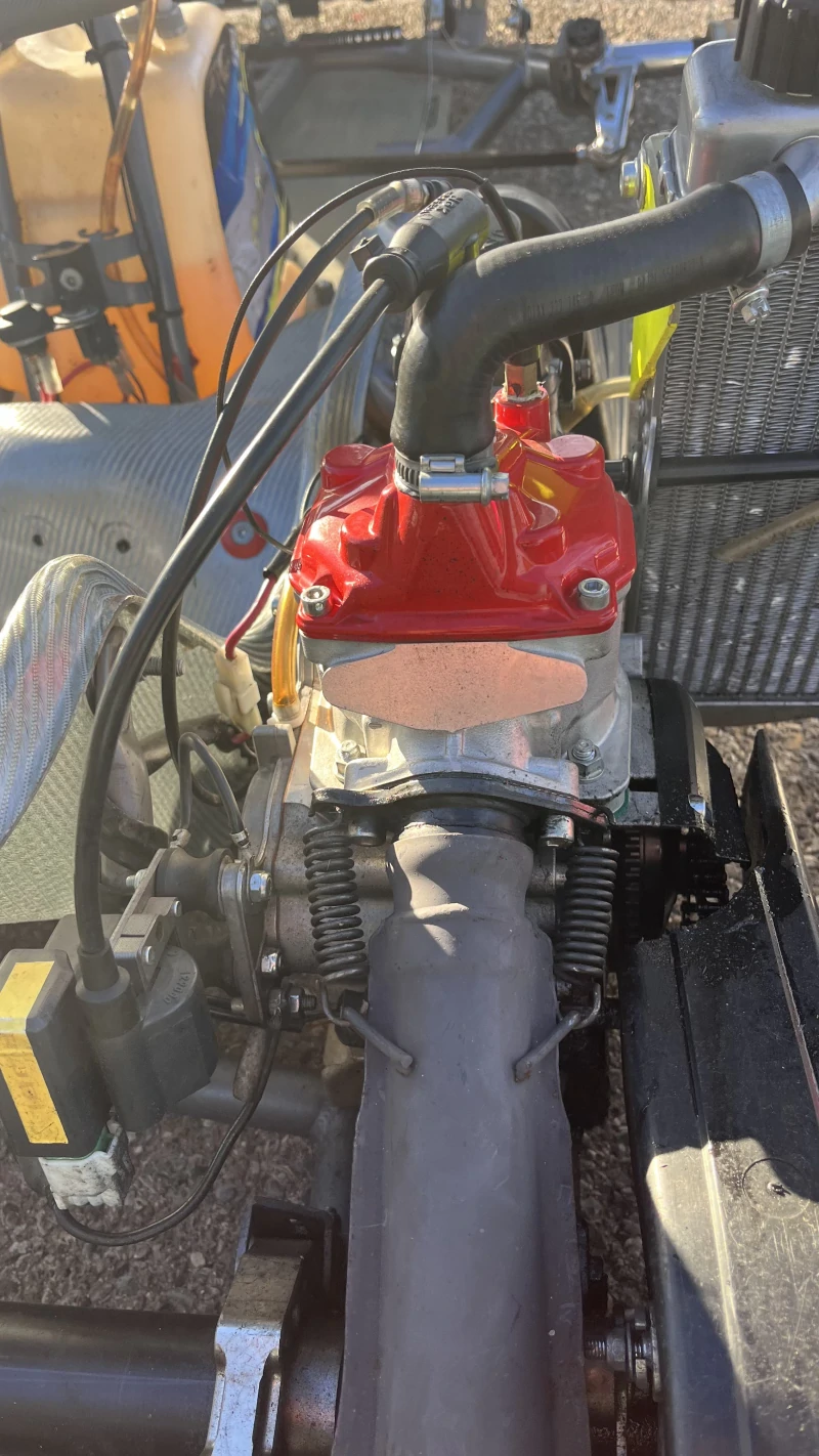 Rotax 125 competition kart + Alfano 6