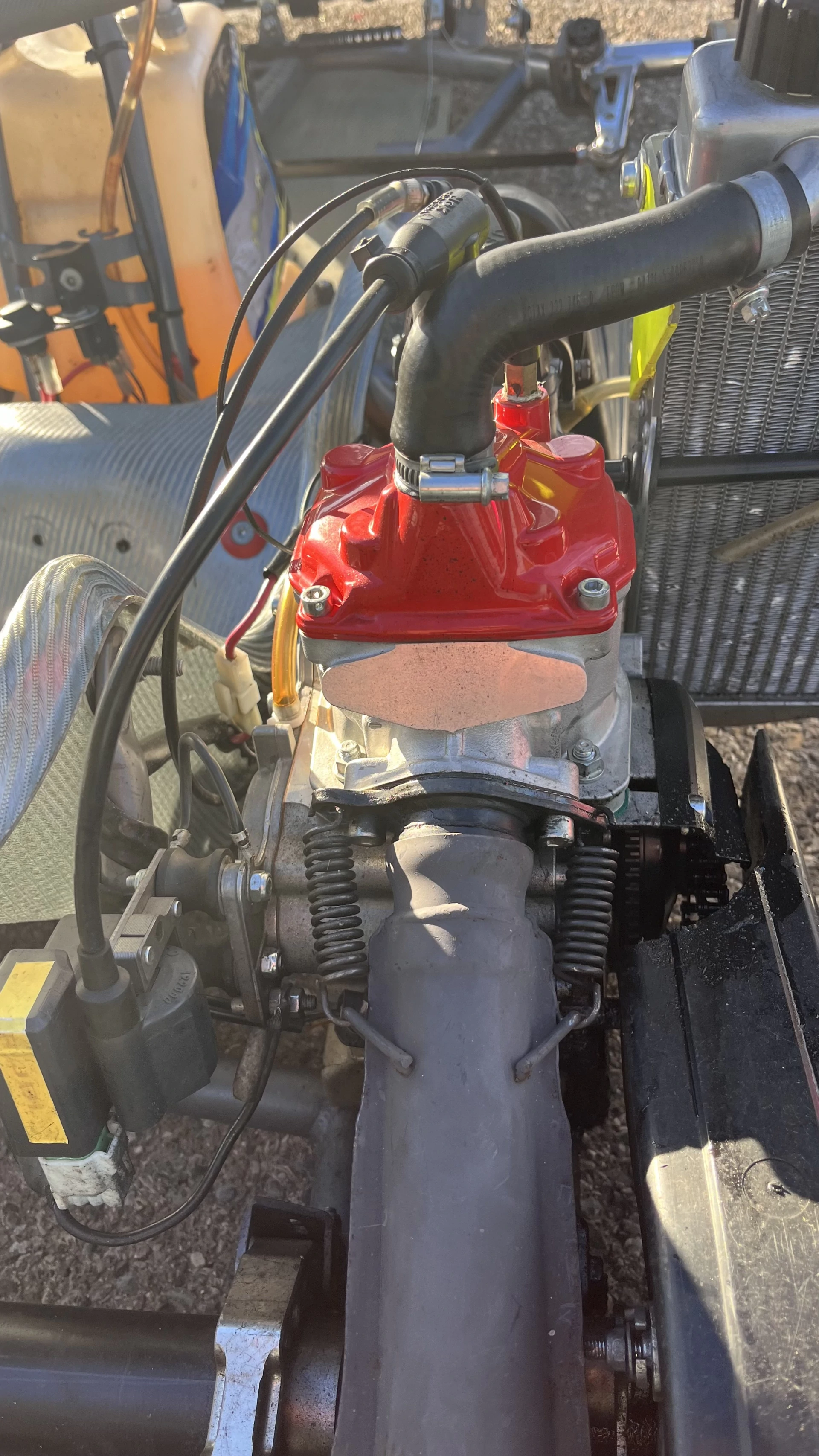 Rotax 125 competition kart + Alfano 6
