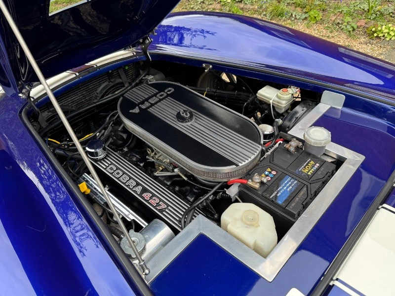COBRA BY PILGRIM MOTORSPORTS 4.6 V8