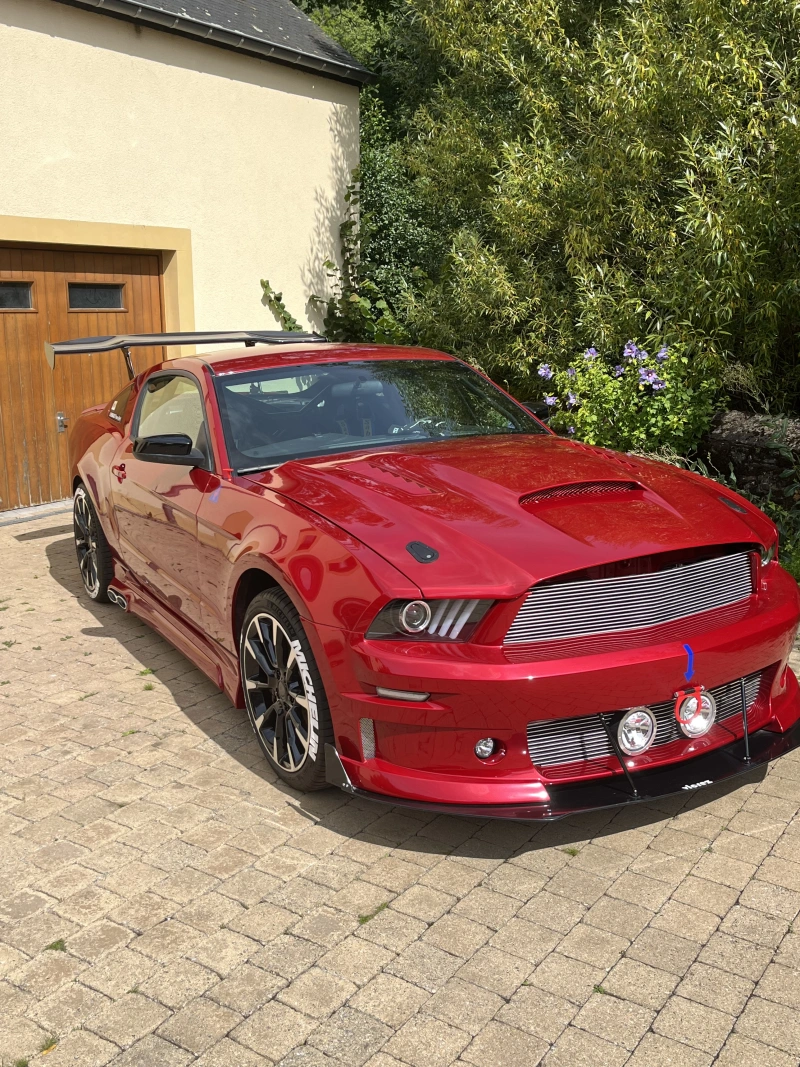 Mustang de compétition