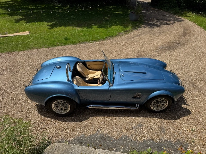 COBRA DE PILGRIM MOTORSPORTS, V8 3,5