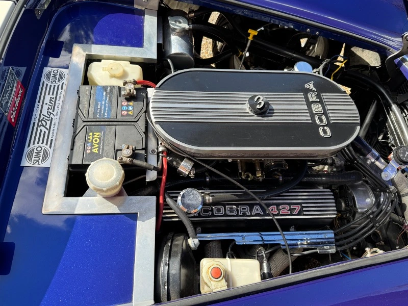 COBRA DE PILGRIM MOTORSPORTS, V8 4,6
