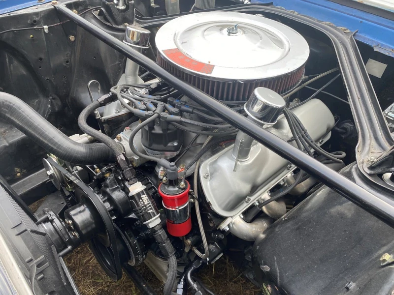 Mustang Trans-Am/Monterey Historics Notchback/Shelby GT350