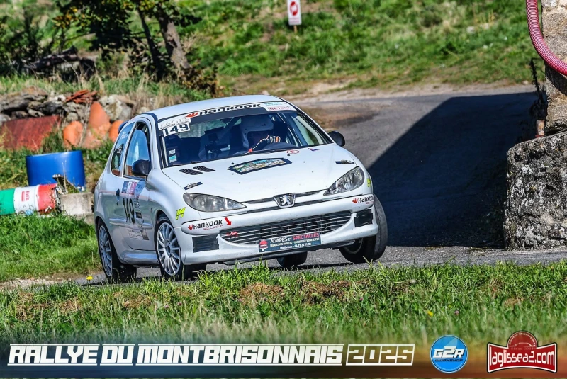 206 n2s peinture neuve