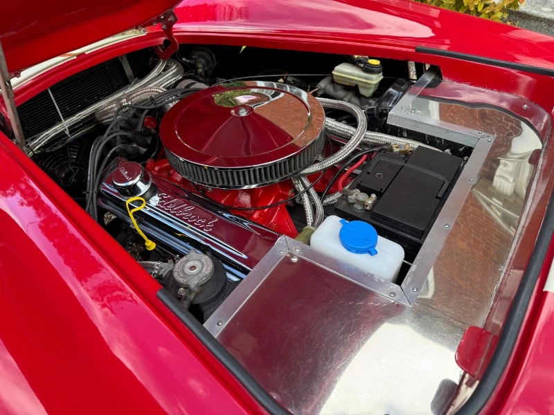 COBRA DE PILGRIM MOTORSPORTS, V8 3,5