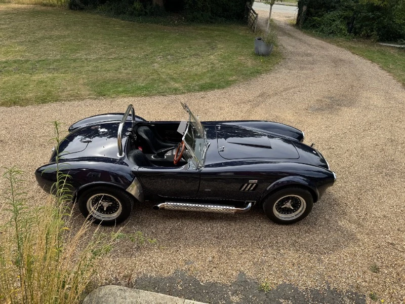 Cobra par Pilgrim Motorsports 3.9 V8