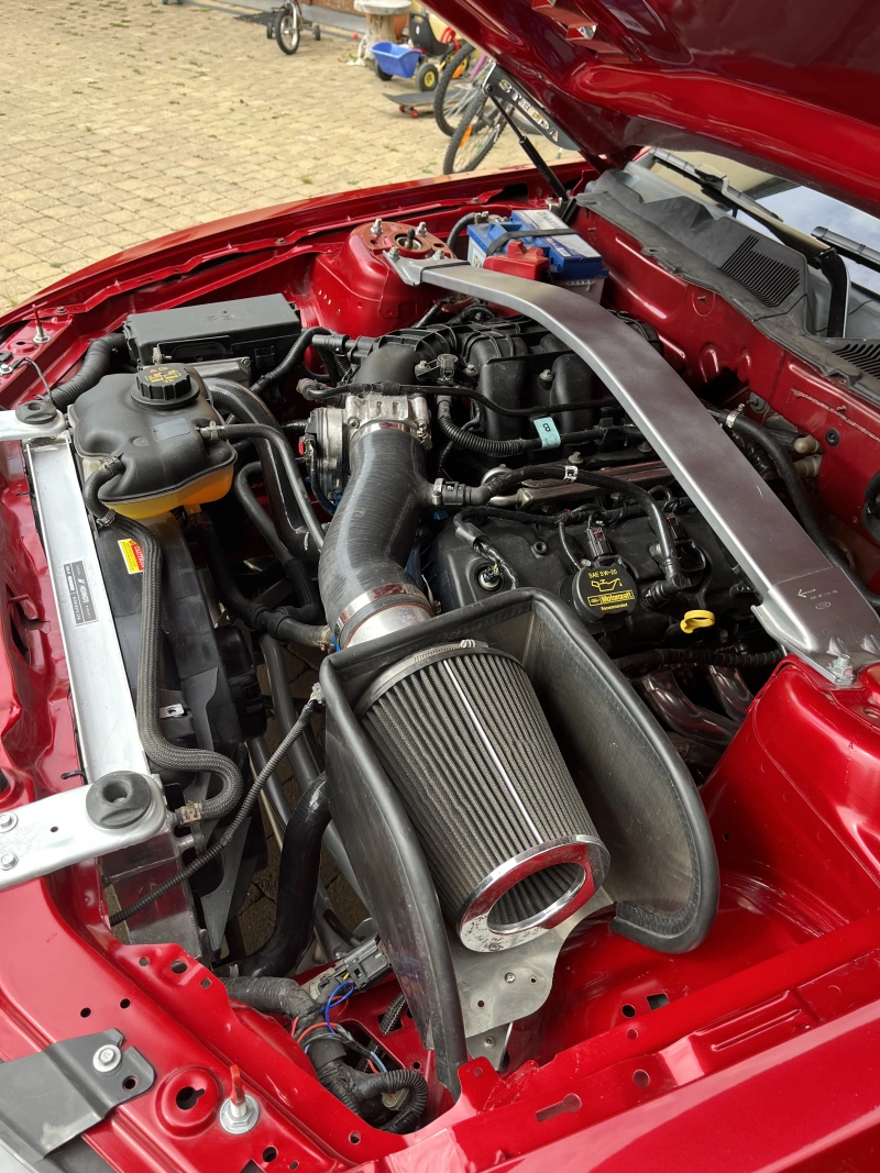 Mustang de compétition