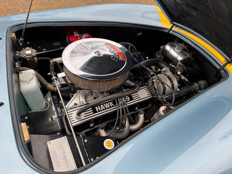 COBRA FIA 289 Replica by HAWK