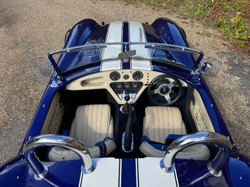 COBRA DE PILGRIM MOTORSPORTS, V8 4,6