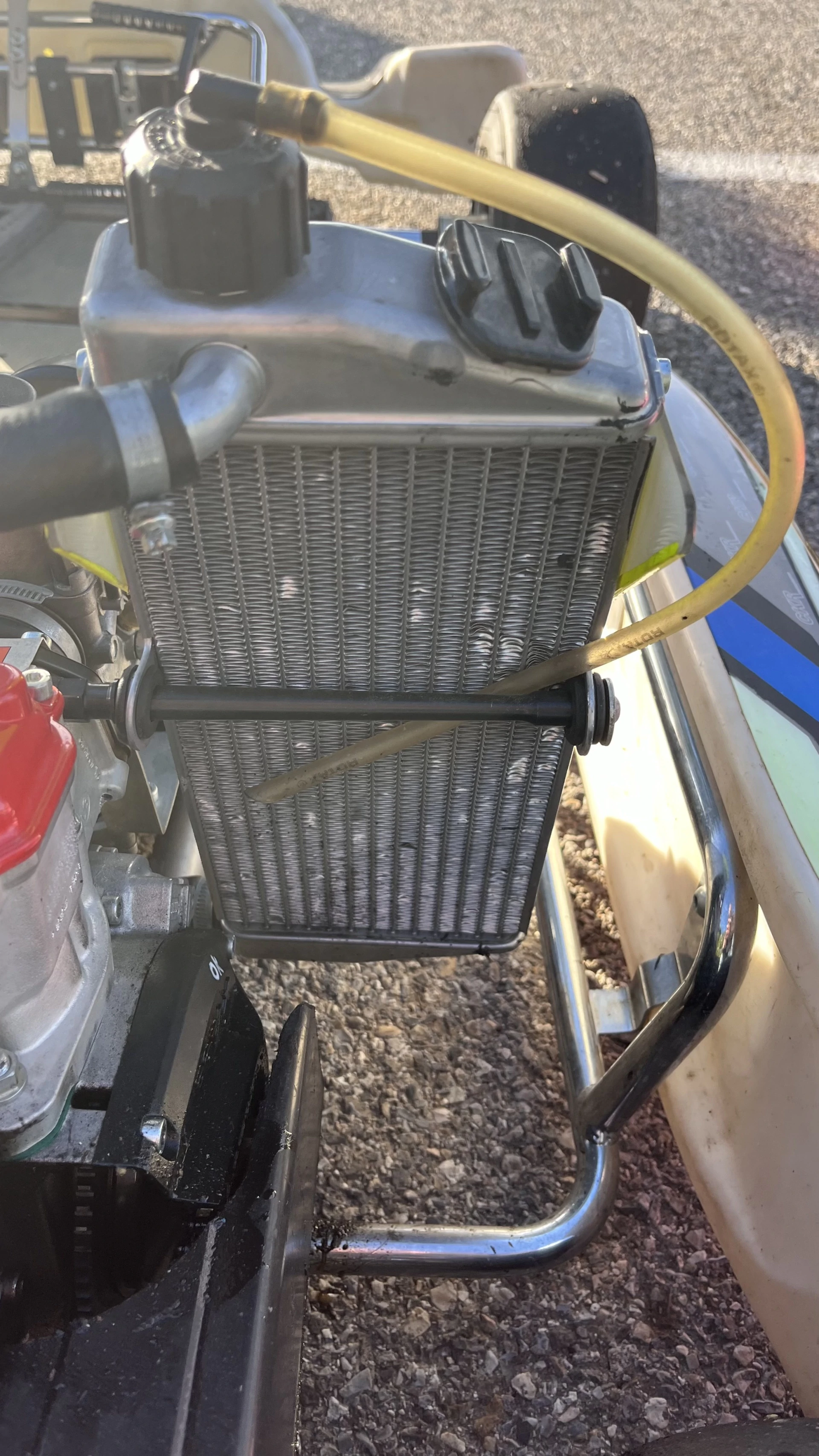 Rotax 125 competition kart + Alfano 6