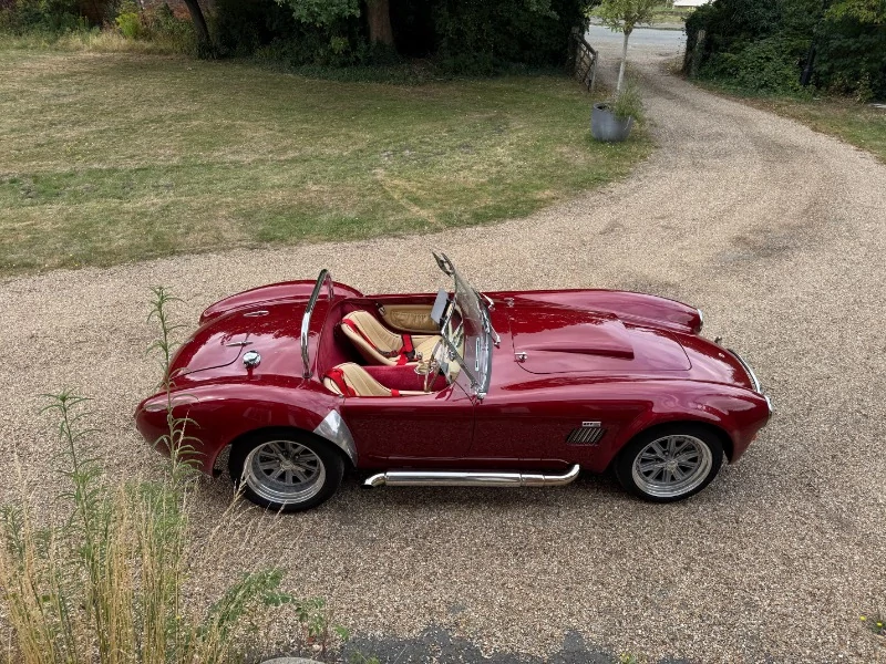 COBRA par DAX