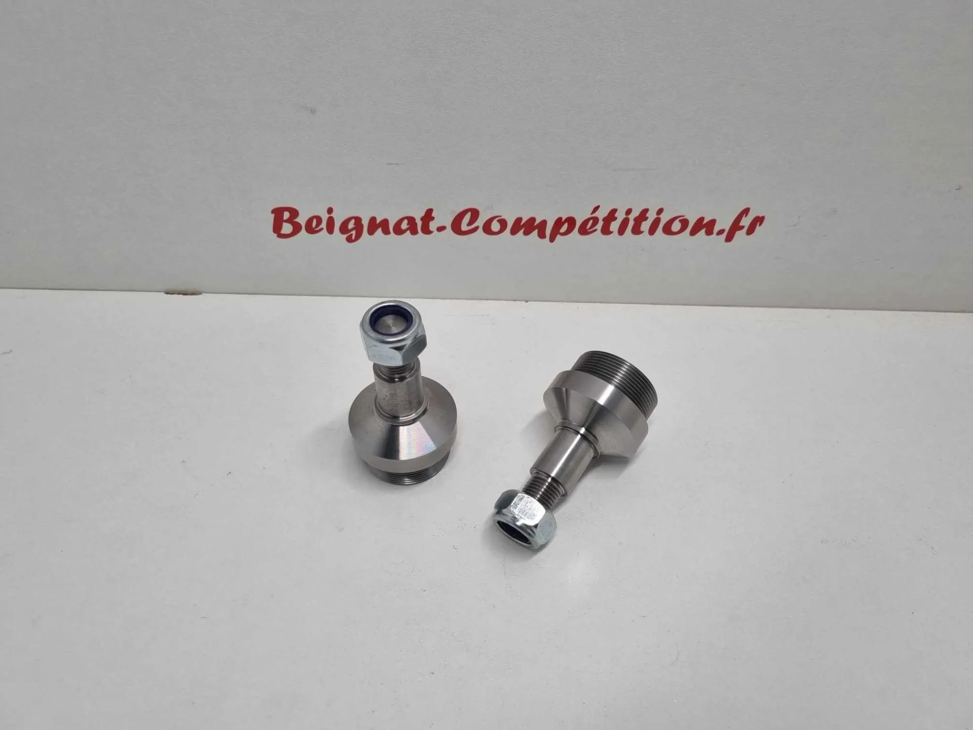 Pivot pins for Peugeot 307 / 406 / 308 / 208 R2 – photo 1