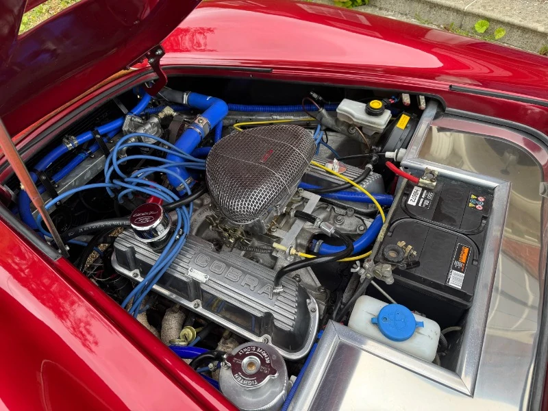 COBRA BY PILGRIM MOTORSPORTS V8