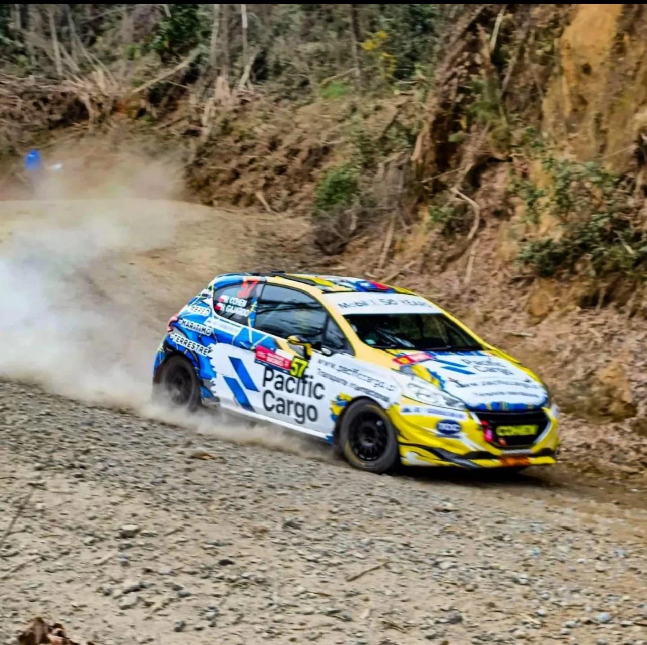 PEUGEOT 208 R2