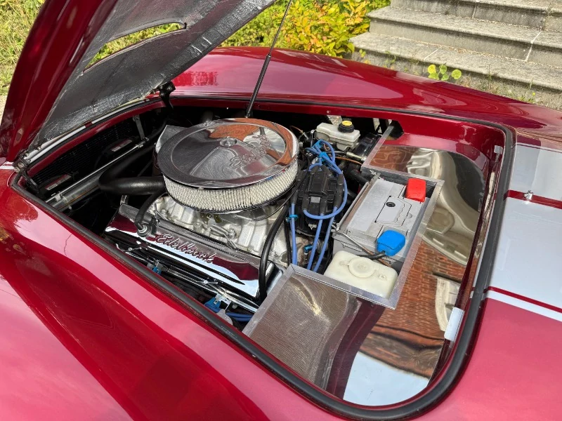 Cobra par pilgrim Motorsports 5.0 V8