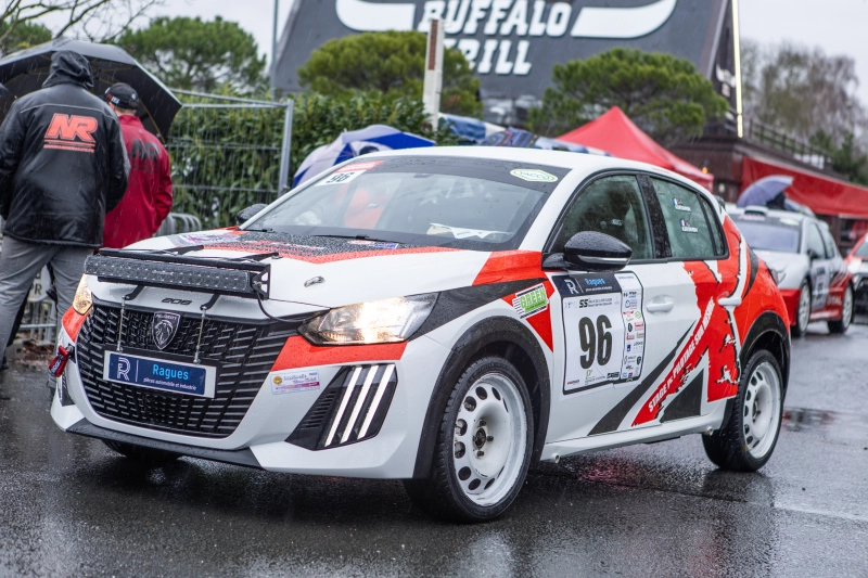 PEUGEOT 208 FR6