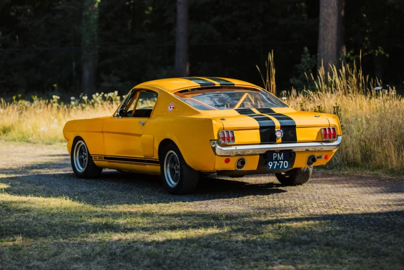Ford Mustang Fastback "Shelby" 1965