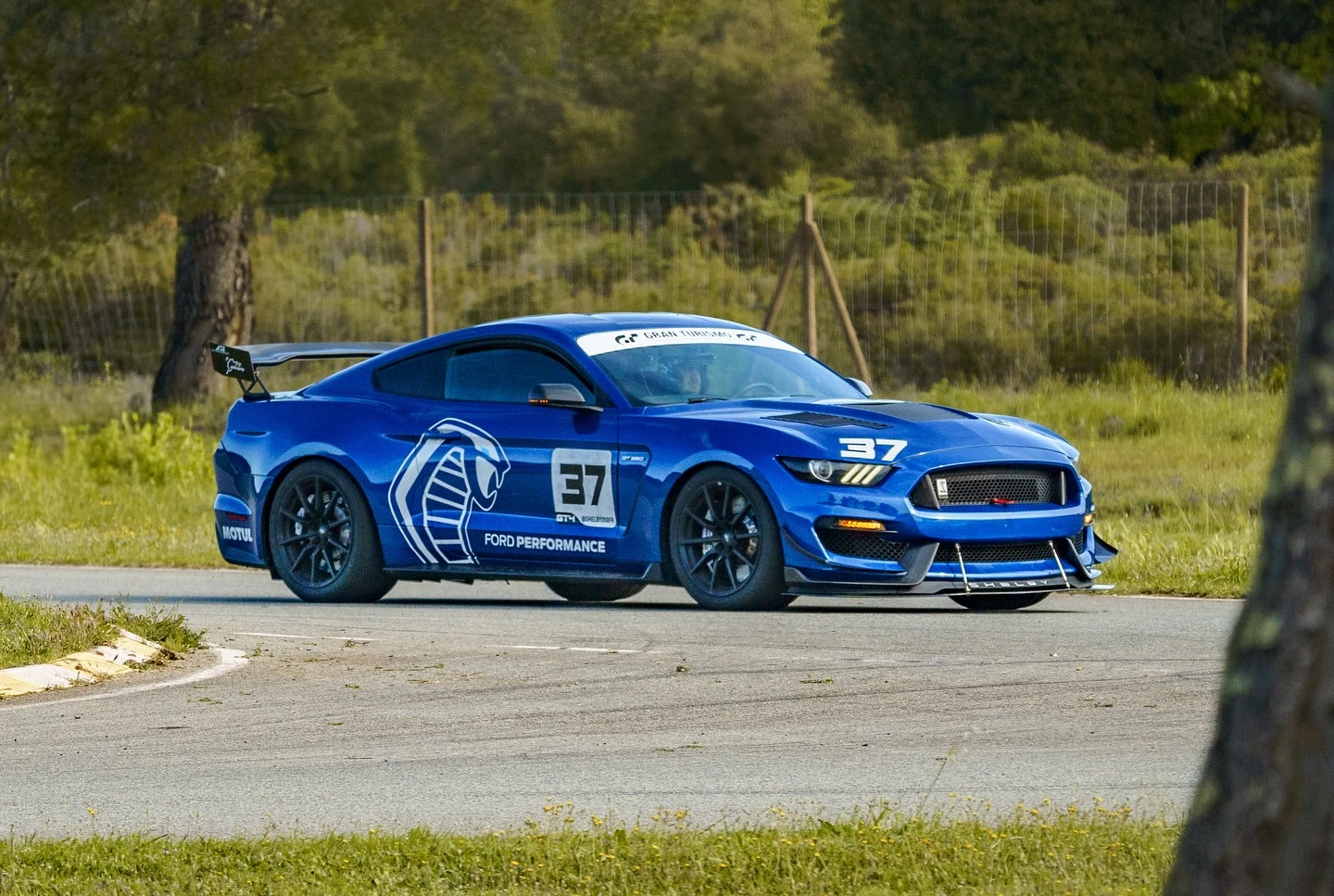 Shelby gt350 – photo 1