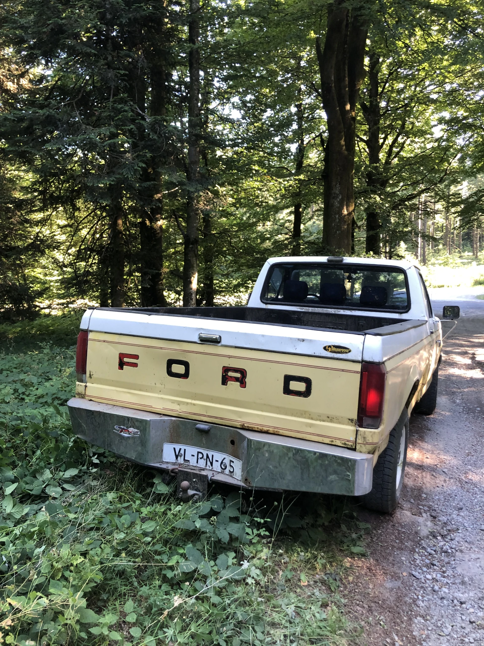 Sell pick up FORD F150 to restore