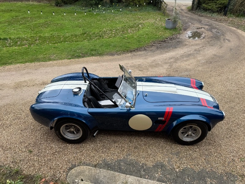 Cobra 289 FIA by ERA