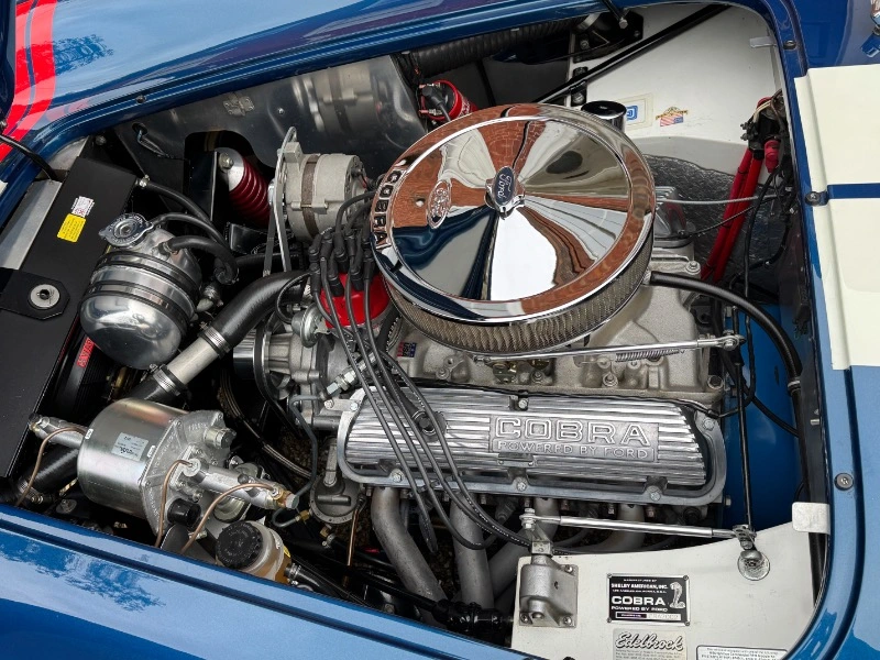 Cobra 289 FIA by ERA