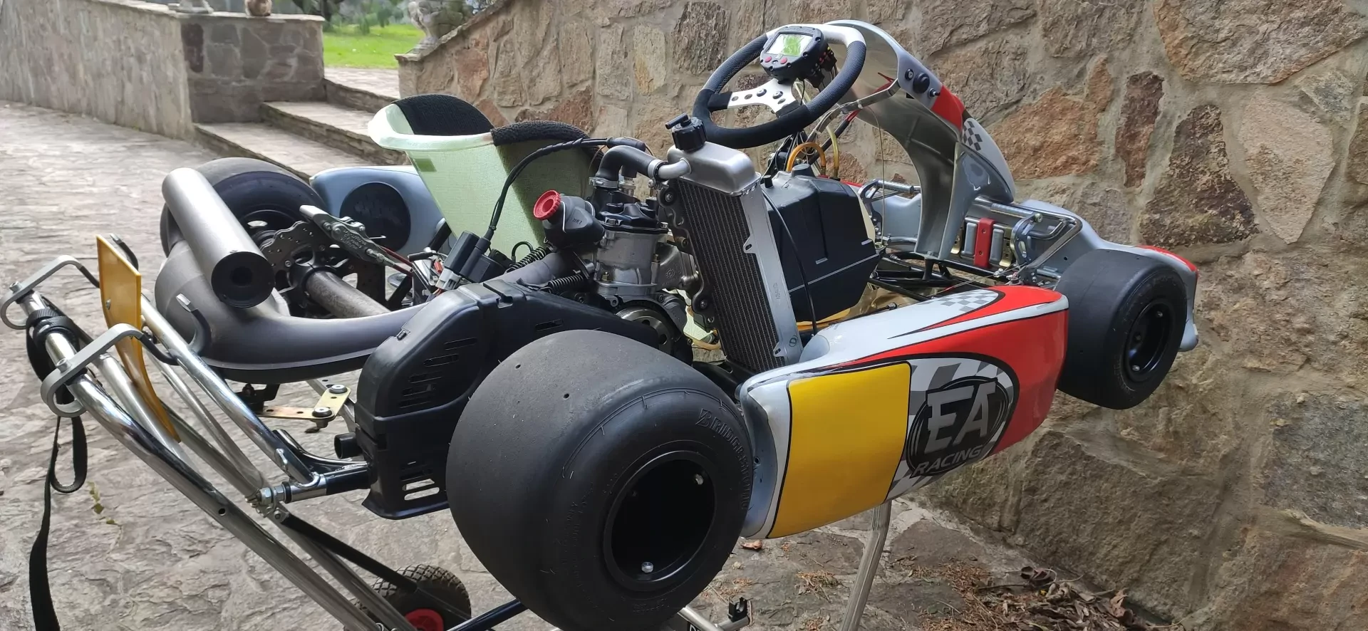 Karting competition leisure Rotax Max 125 GMD EA Racing with Alfano Pro