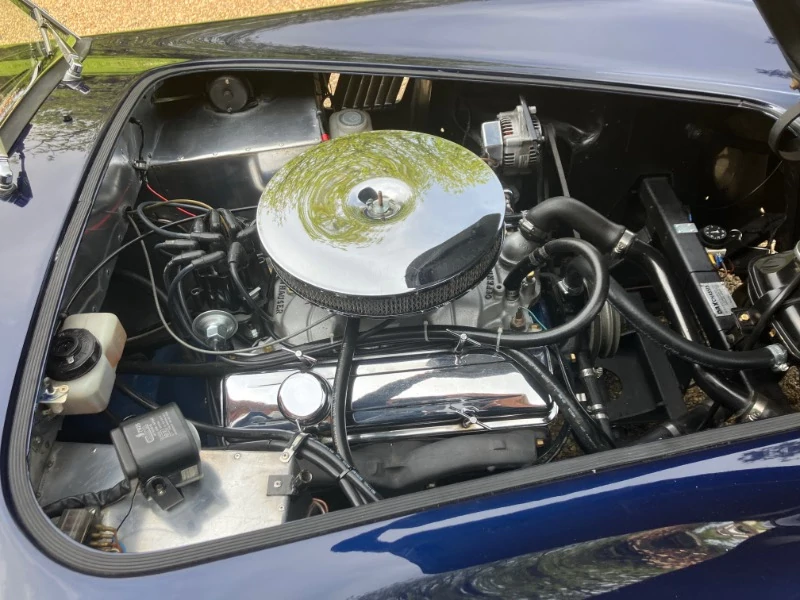 Cobra by DAX