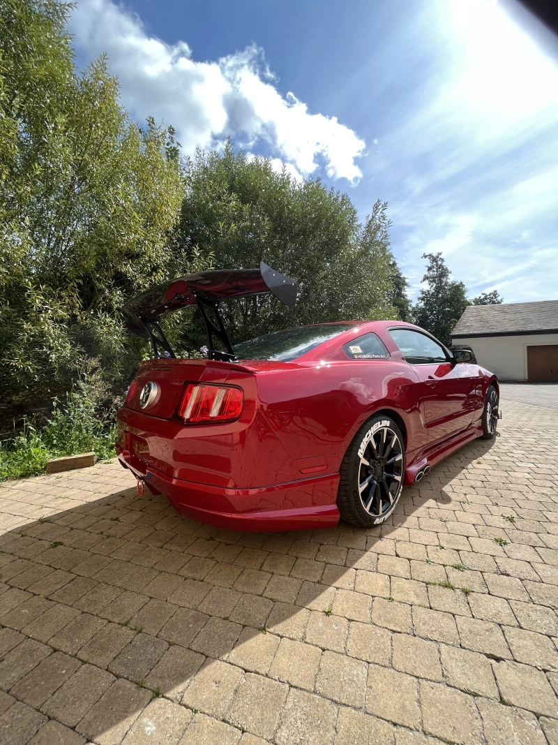 Mustang de compétition