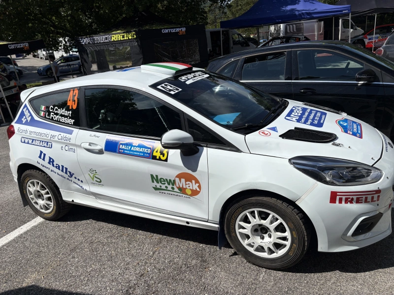 Fiesta Rally4 #59 updated 2026 2 Terra and Asphalt Set-ups and numerous rims and spares