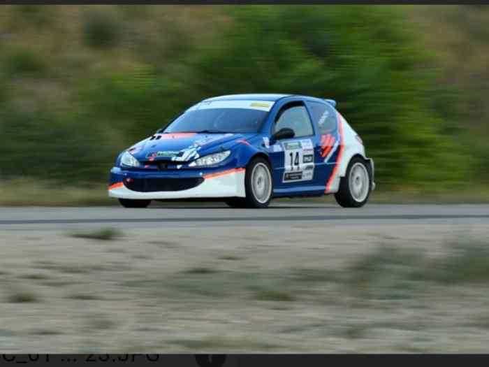 206 maxi f2014