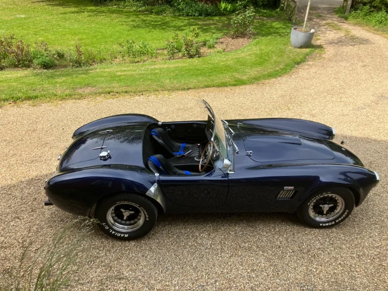 Cobra by DAX