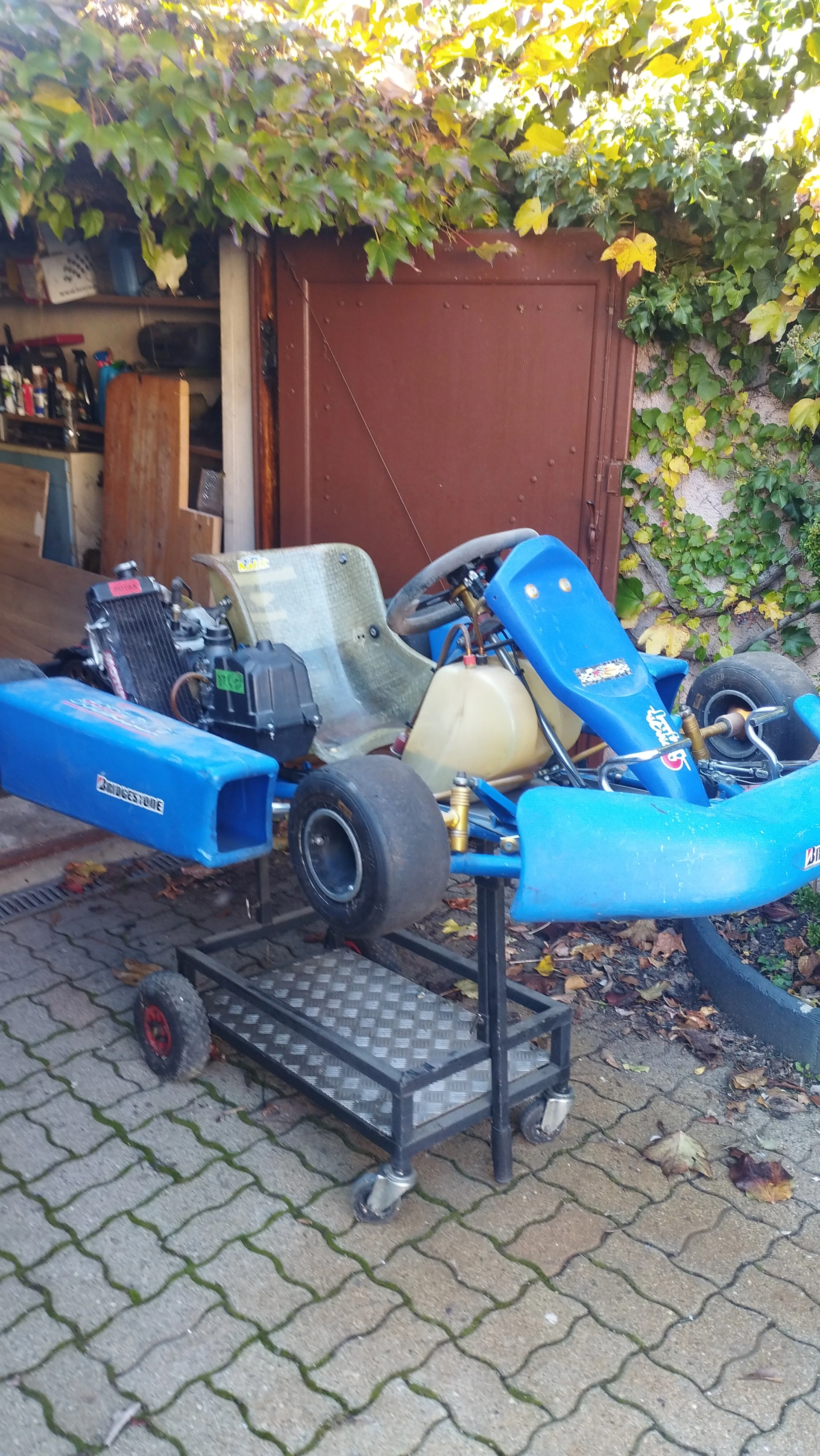 Karting rotax 125 2T