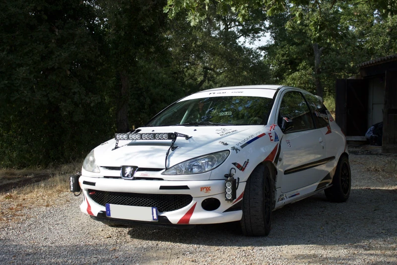 Peugeot 206 RC Groupe A7 - FRC4