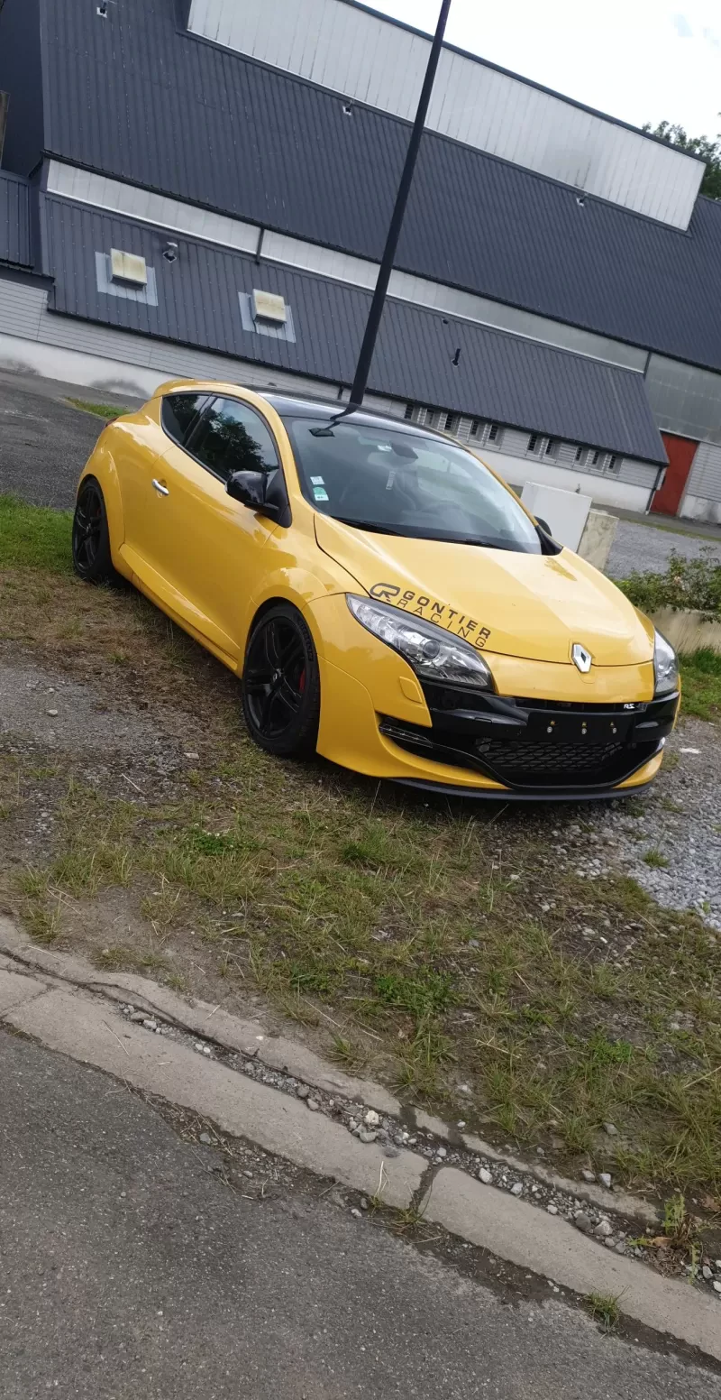 Megane 3 RS Cup Stage 4