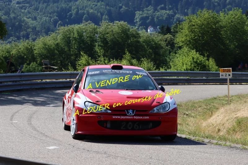 PEUGEOT 206 SUPER 1600