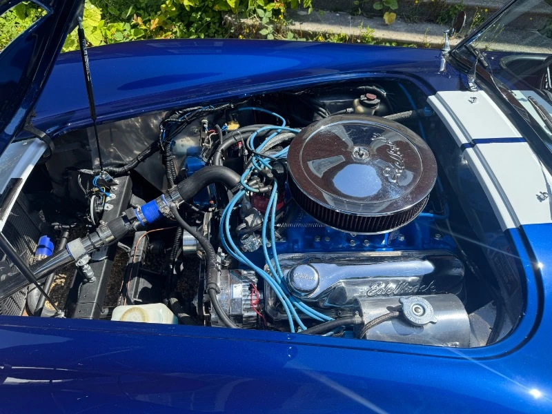 COBRA DE DAX TOJIERO « POWERED BY FORD »