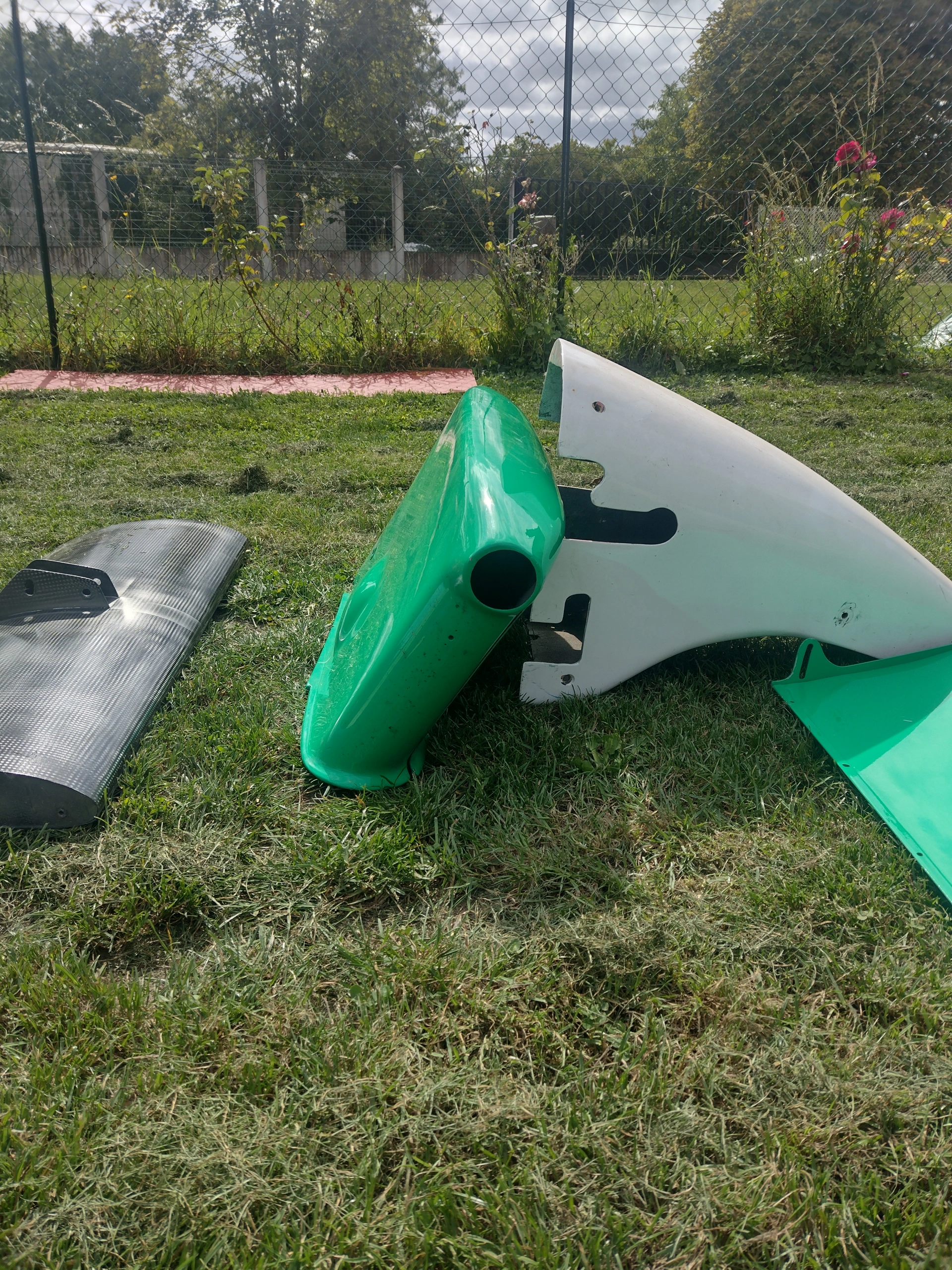 Formula Dallara F389 – photo 2