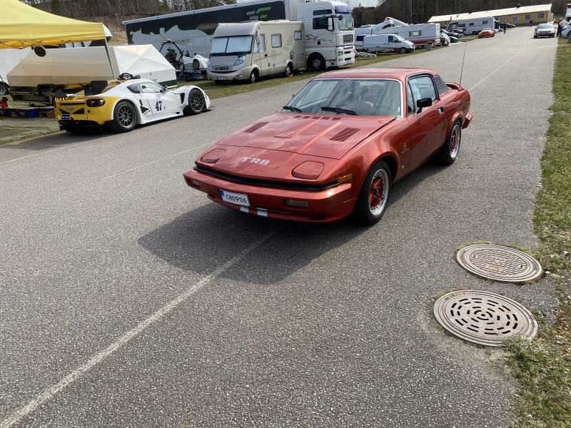 Triumph TR 8 LHD (Real TR8)