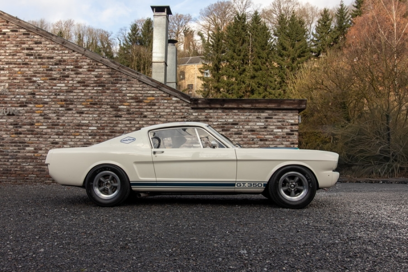 Shelby GT350