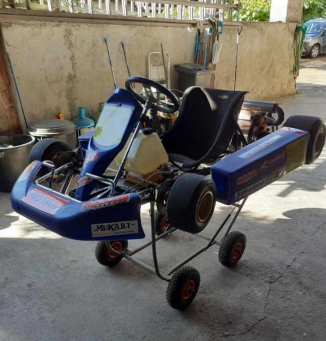 Rotax Max 125cc karting for sale