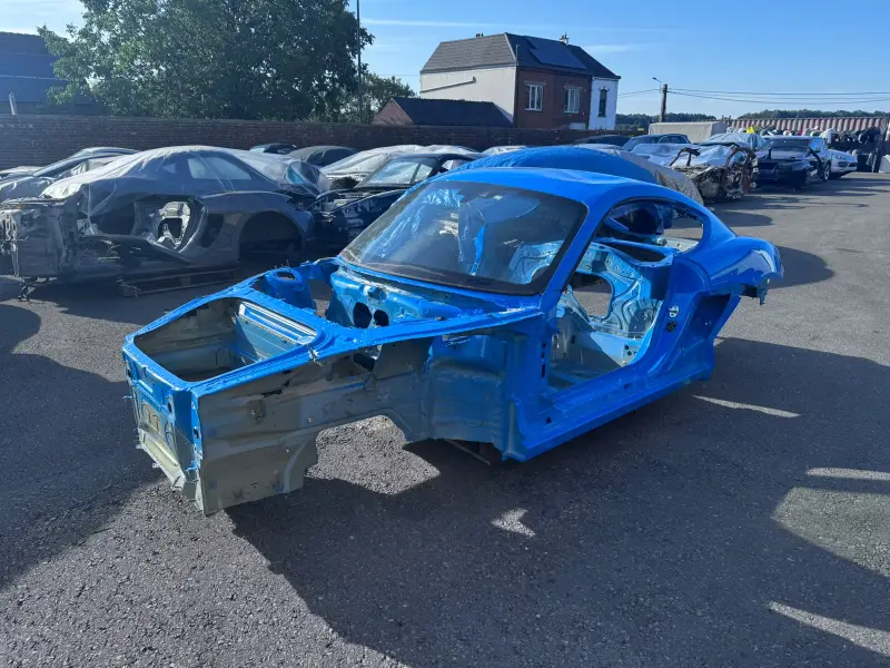 Caisse nue Porsche Cayman GT4 RS 2022